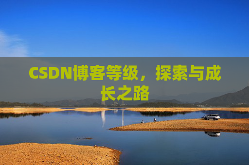 CSDN博客等级，探索与成长之路